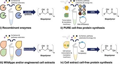 Frontiers | Biological Materials: The Next Frontier For Cell-Free ...